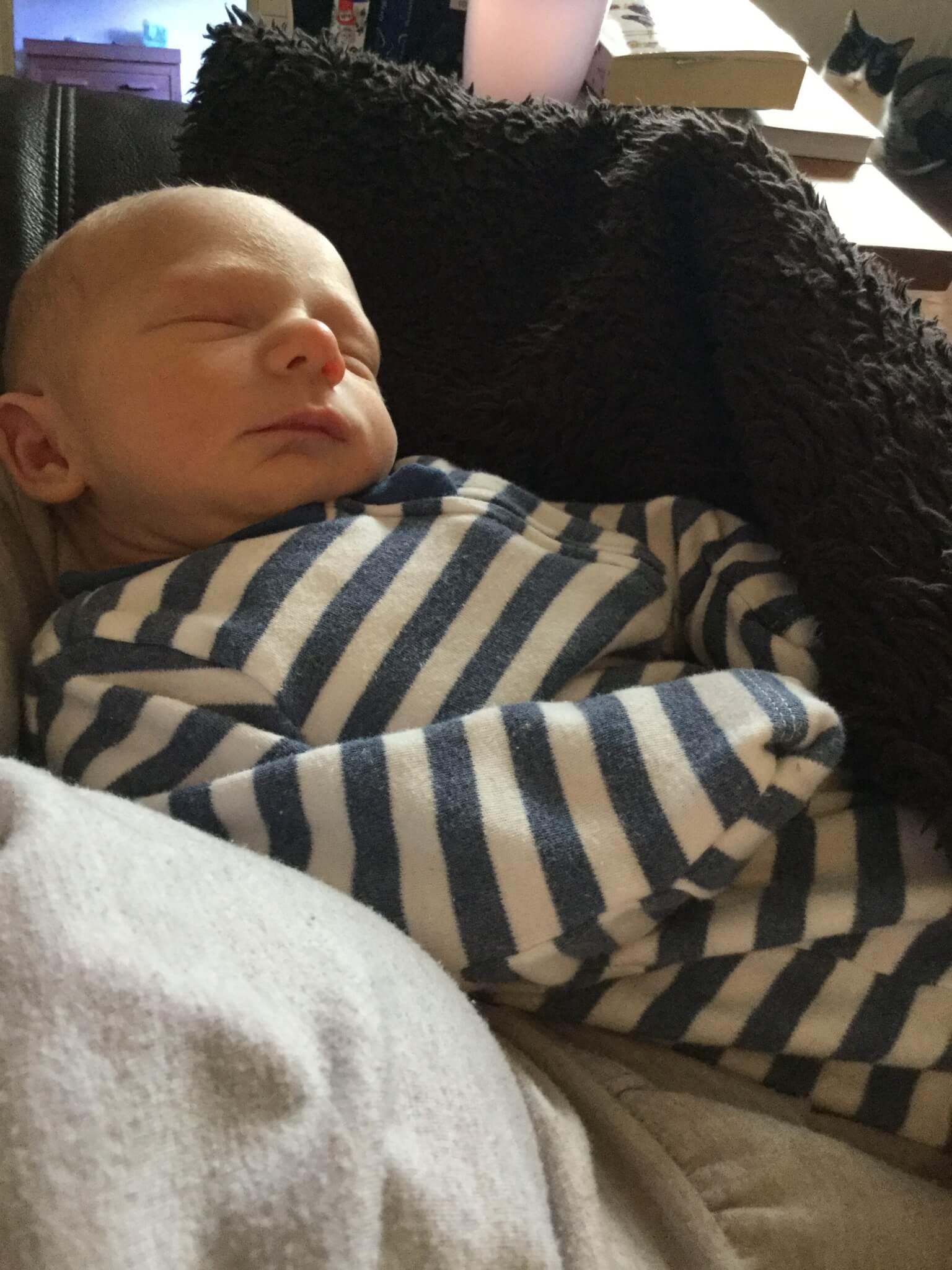 Wednesday, 30th January 2019