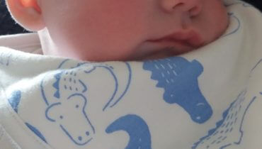 Friday, 12th April 2019: Eleven weeks old