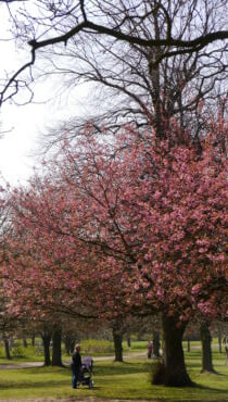 Friday, 19th April 2019: Twelve weeks old