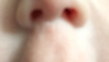 Tuesday, 9th July 2019