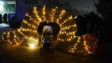 Friday, 27th December 2019: Forty-eight weeks old