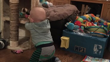 Monday, 6th January 2020