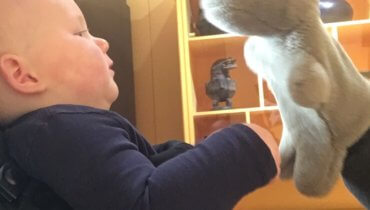 Saturday, 8th February 2020