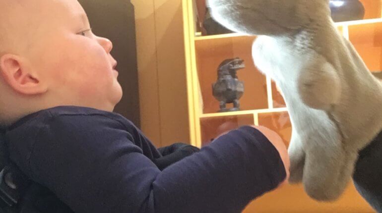 Saturday, 8th February 2020