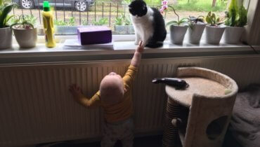 Tuesday, 12th May 2020