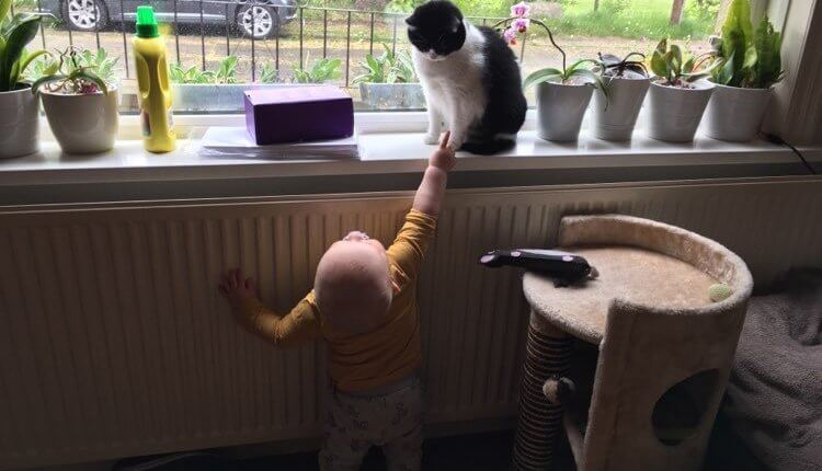 Tuesday, 12th May 2020