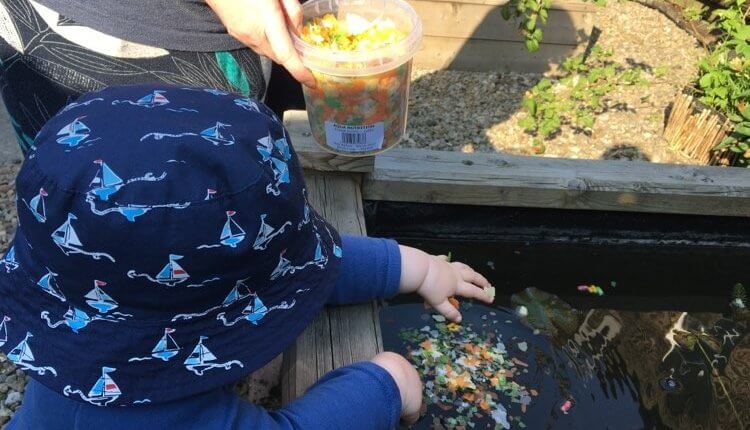 Wednesday, 24th June 2020