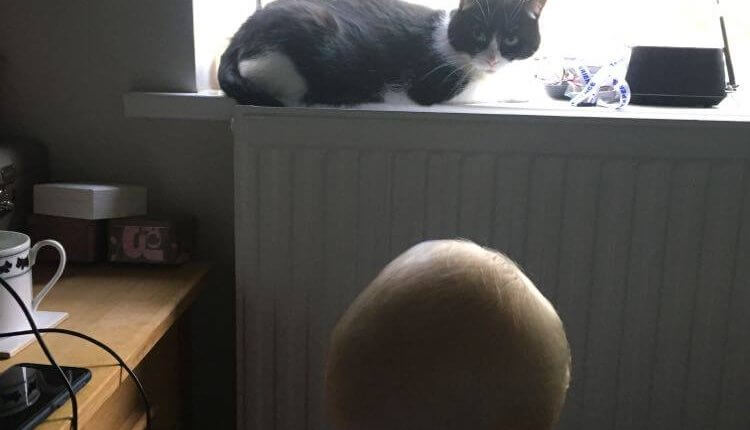 Thursday, 25th June 2020: Seventeen months old