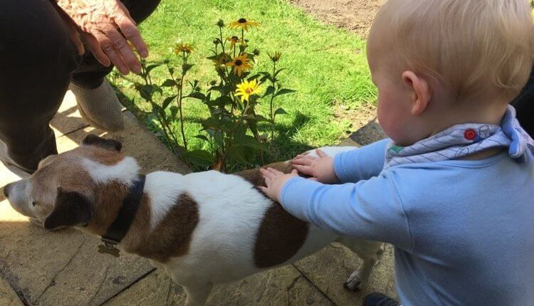 Friday, 7th August 2020: Eighty weeks old