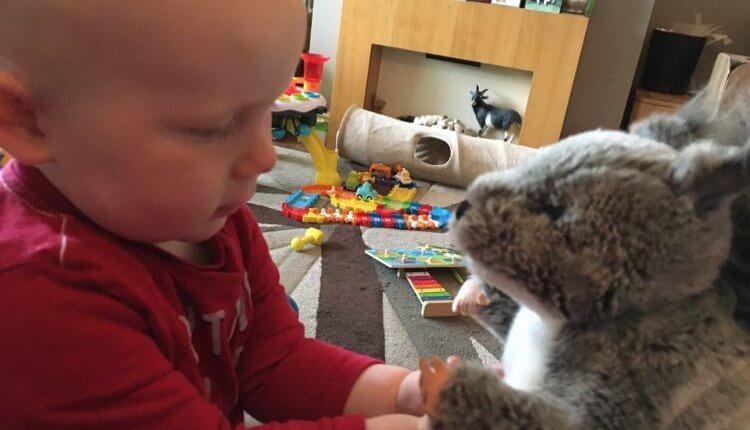 Sunday, 16th August 2020