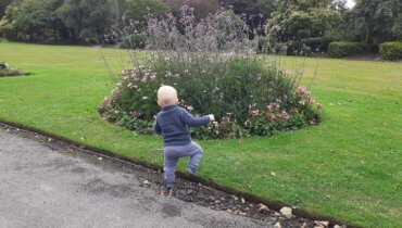 Friday, 21st August 2020: Eighty-two weeks old