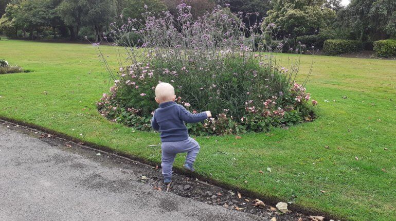 Friday, 21st August 2020: Eighty-two weeks old