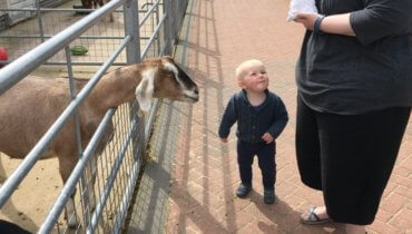 Friday, 4th September 2020: Eighty-four weeks old