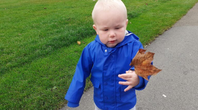 Friday, 2nd October 2020: Eighty-eight weeks old