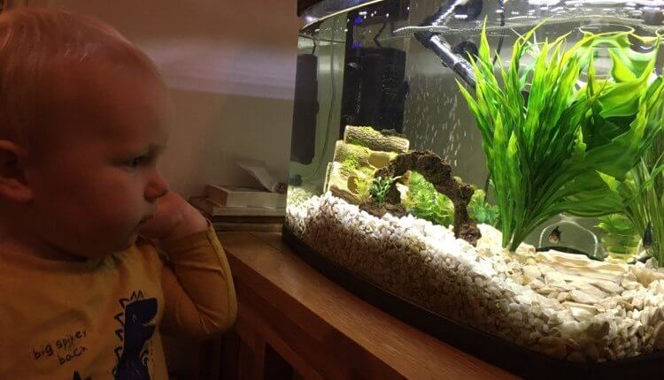 Friday, 4th December 2020: Ninety-seven weeks old