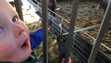 Thursday, 31st December 2020