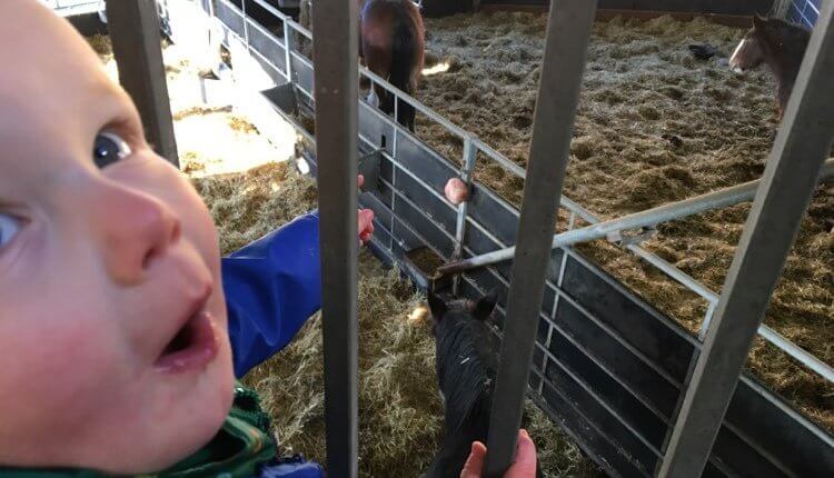 Thursday, 31st December 2020